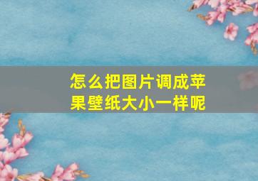 怎么把图片调成苹果壁纸大小一样呢