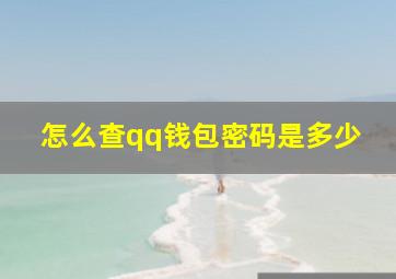 怎么查qq钱包密码是多少