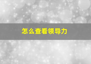 怎么查看领导力