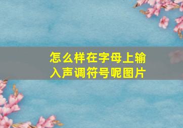 怎么样在字母上输入声调符号呢图片