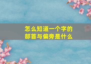 怎么知道一个字的部首与偏旁是什么