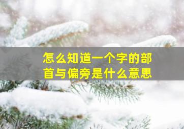 怎么知道一个字的部首与偏旁是什么意思