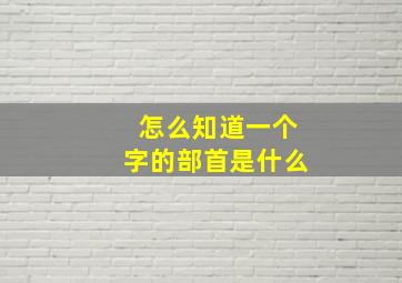 怎么知道一个字的部首是什么