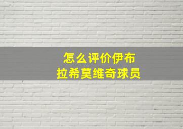 怎么评价伊布拉希莫维奇球员