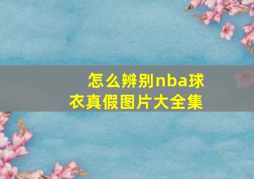 怎么辨别nba球衣真假图片大全集