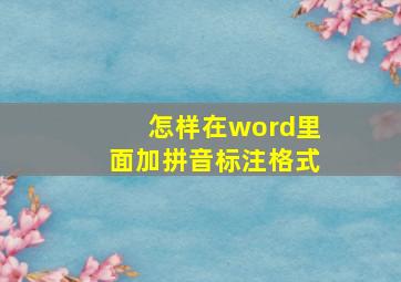 怎样在word里面加拼音标注格式