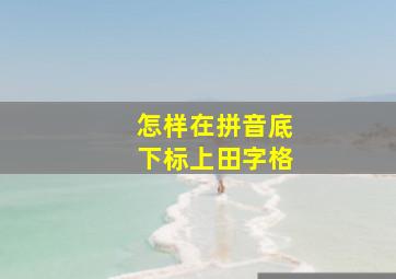 怎样在拼音底下标上田字格