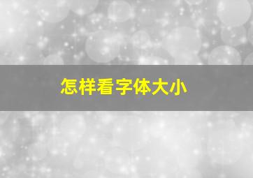 怎样看字体大小