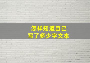 怎样知道自己写了多少字文本