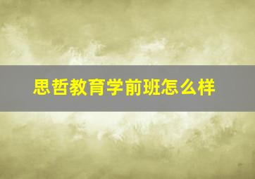 思哲教育学前班怎么样