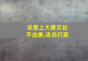 总想上大便又拉不出来,还总打屁