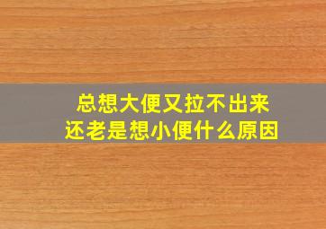 总想大便又拉不出来还老是想小便什么原因