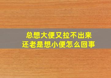 总想大便又拉不出来还老是想小便怎么回事