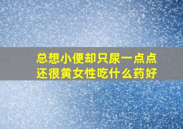 总想小便却只尿一点点还很黄女性吃什么药好