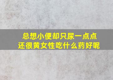 总想小便却只尿一点点还很黄女性吃什么药好呢