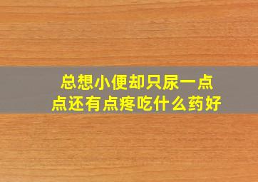 总想小便却只尿一点点还有点疼吃什么药好