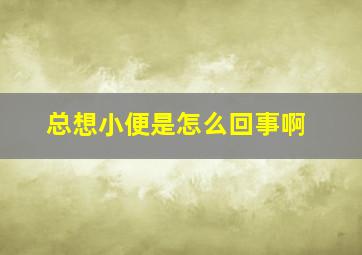 总想小便是怎么回事啊