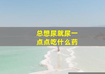 总想尿就尿一点点吃什么药