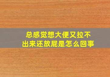 总感觉想大便又拉不出来还放屁是怎么回事