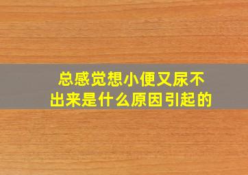 总感觉想小便又尿不出来是什么原因引起的