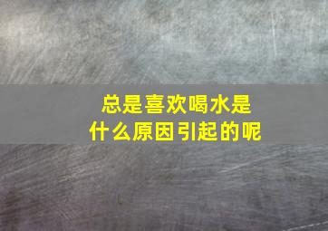 总是喜欢喝水是什么原因引起的呢