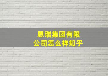 恩瑞集团有限公司怎么样知乎