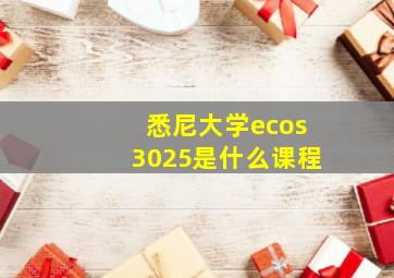 悉尼大学ecos3025是什么课程