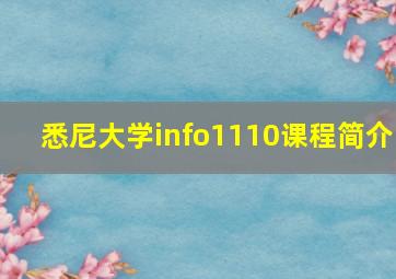 悉尼大学info1110课程简介