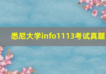 悉尼大学info1113考试真题