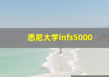 悉尼大学infs5000