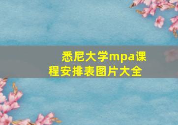 悉尼大学mpa课程安排表图片大全