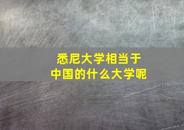 悉尼大学相当于中国的什么大学呢