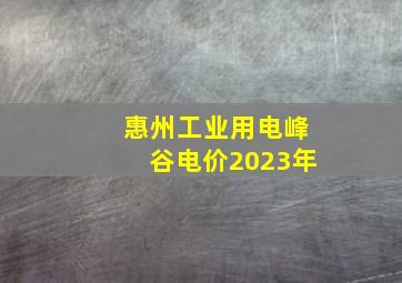 惠州工业用电峰谷电价2023年