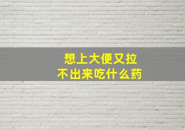 想上大便又拉不出来吃什么药