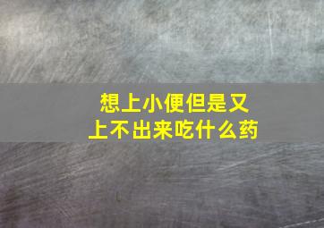 想上小便但是又上不出来吃什么药