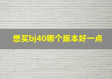 想买bj40哪个版本好一点