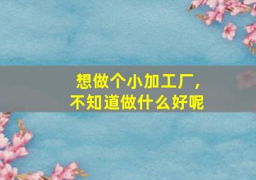 想做个小加工厂,不知道做什么好呢