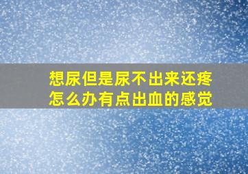 想尿但是尿不出来还疼怎么办有点出血的感觉