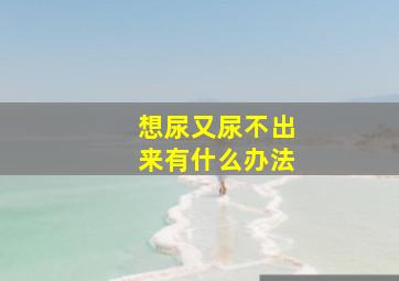 想尿又尿不出来有什么办法