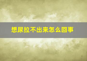 想尿拉不出来怎么回事