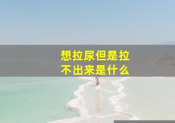 想拉尿但是拉不出来是什么