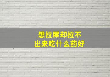 想拉屎却拉不出来吃什么药好