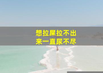 想拉屎拉不出来一直尿不尽