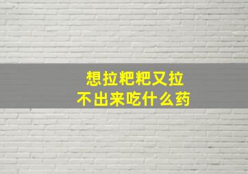 想拉粑粑又拉不出来吃什么药