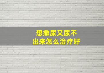 想撒尿又尿不出来怎么治疗好