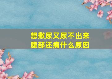 想撒尿又尿不出来腹部还痛什么原因