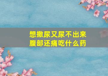 想撒尿又尿不出来腹部还痛吃什么药