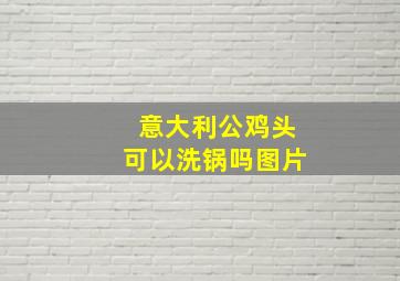 意大利公鸡头可以洗锅吗图片