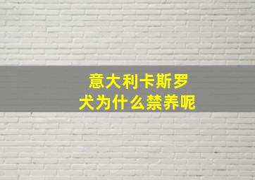 意大利卡斯罗犬为什么禁养呢