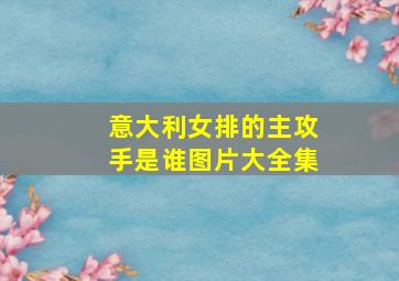 意大利女排的主攻手是谁图片大全集